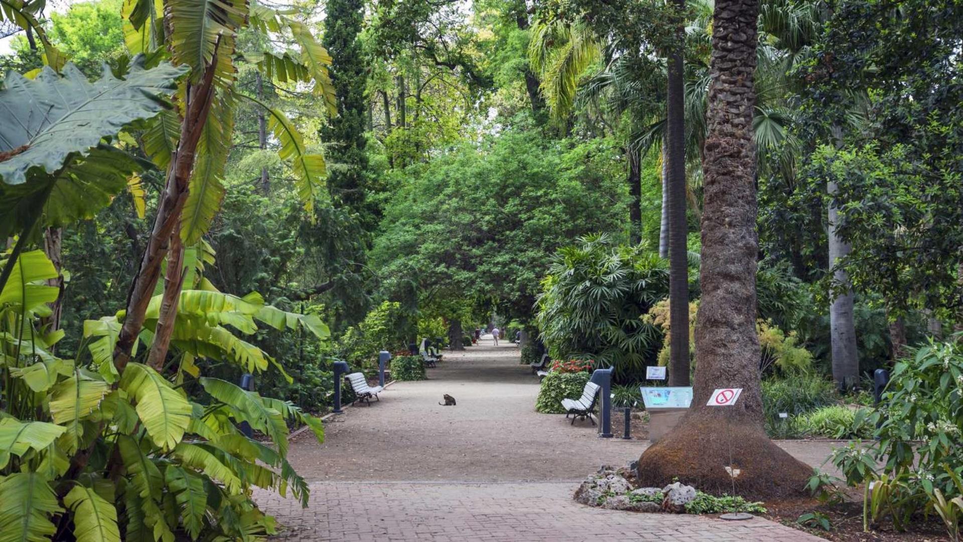 Luxotica Gardens Valencia Apartment Ngoại thất bức ảnh